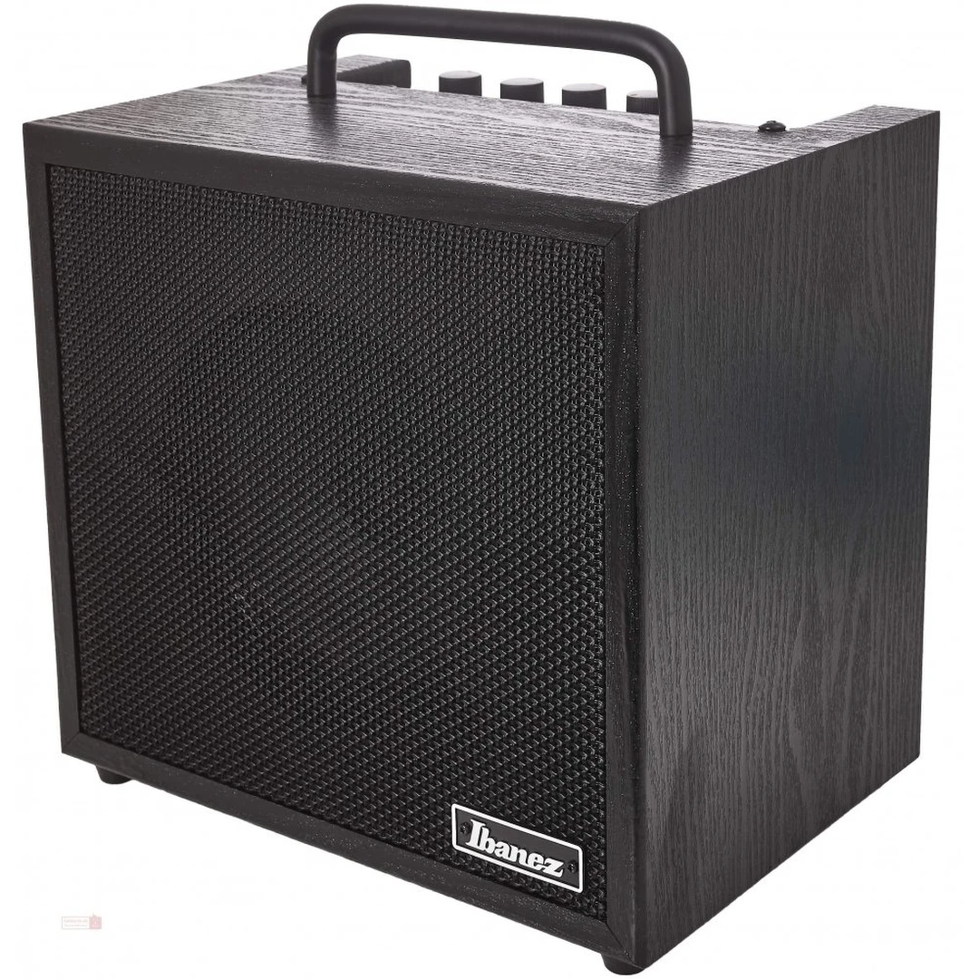 Комбоусилитель Ibanez IBZ10BV2