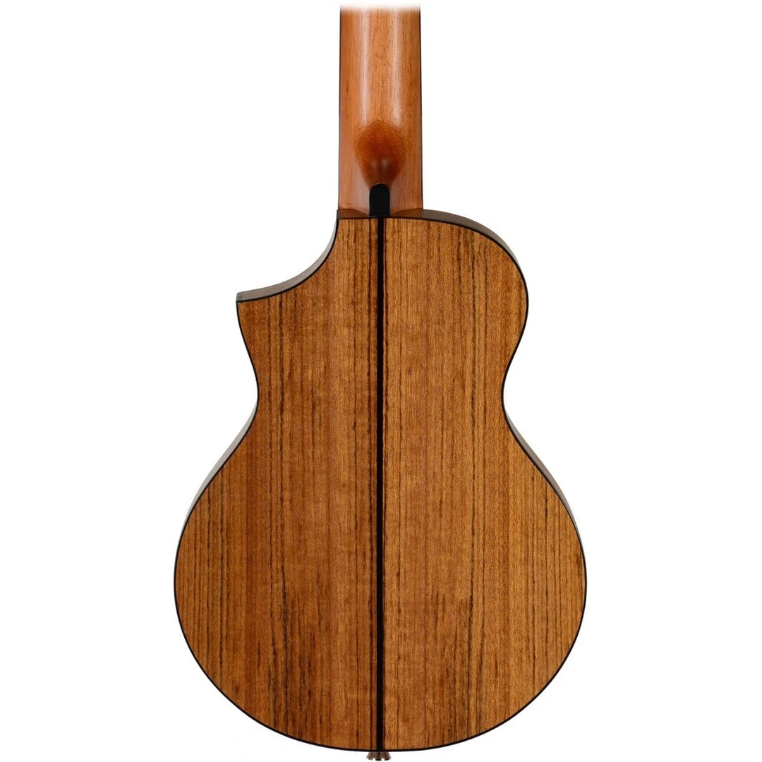 Акустическая гитара Ibanez EWP14WB-OPN