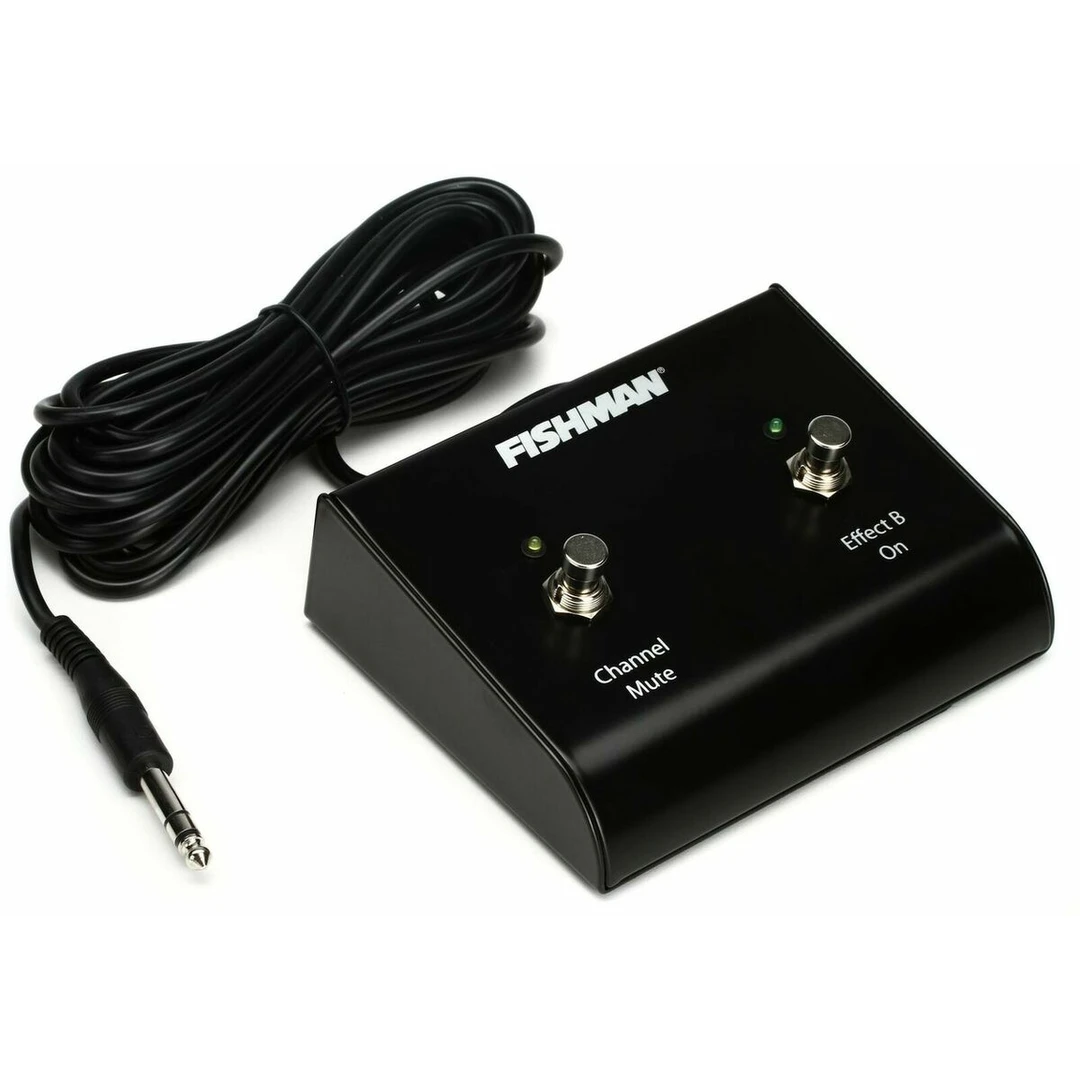 Футсвич Fishman ACC-LBX-FSW Loudbox Dual