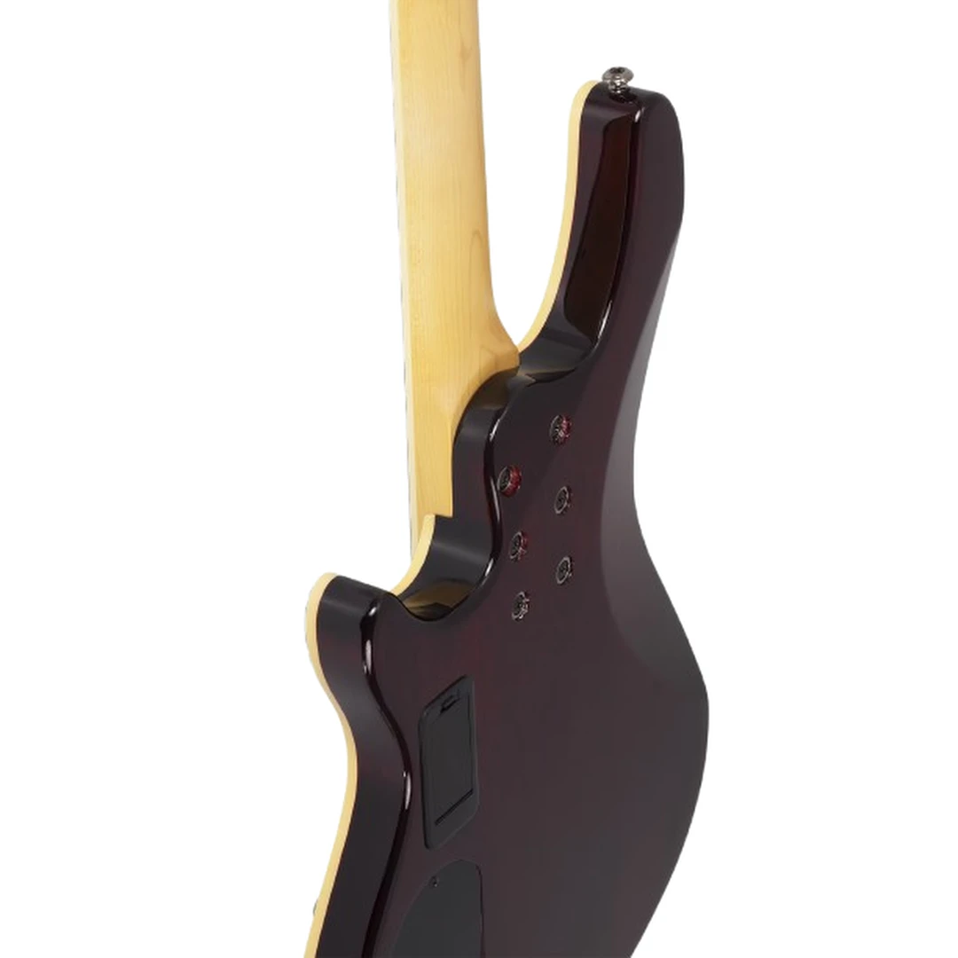 Бас-гитара Schecter Omen Extreme-4 BCH