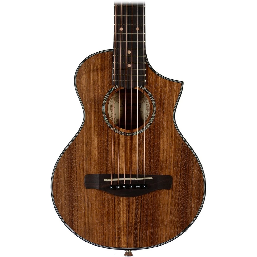 Акустическая гитара Ibanez EWP14WB-OPN