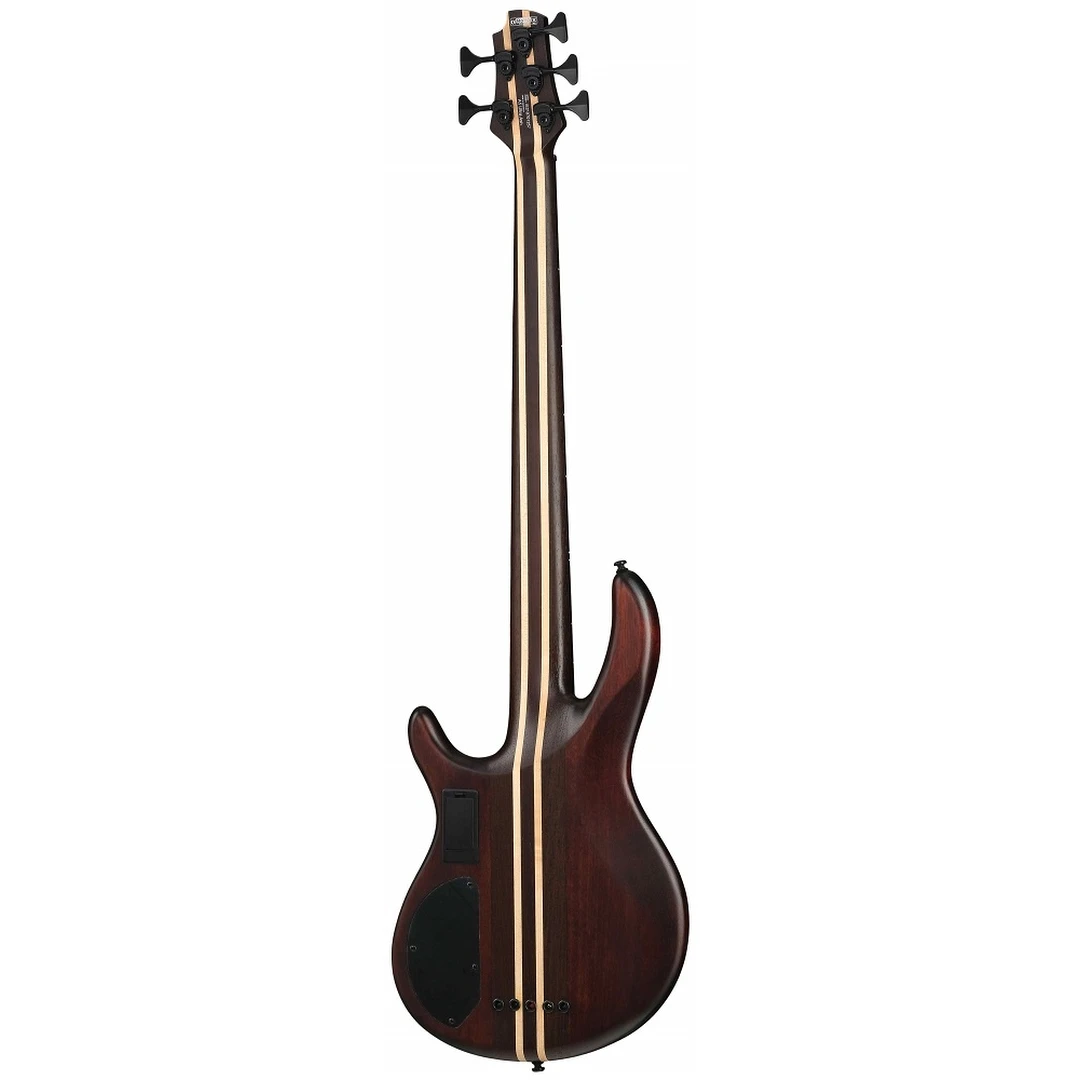 Бас-гитара Cort Artisan A5 Ultra Ash WCASE ENB