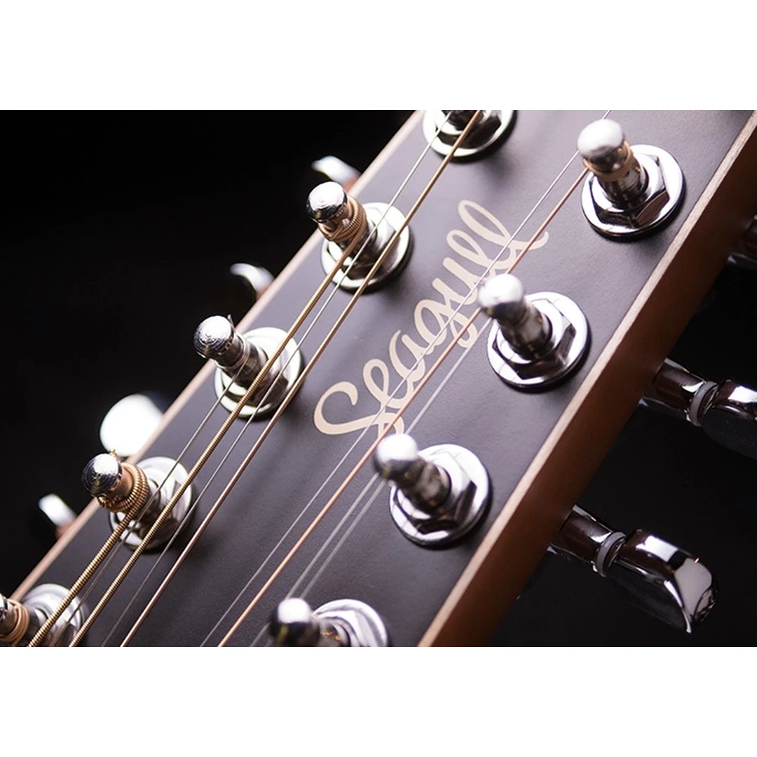 12-струнная гитара Seagull Coastline S12 Cedar