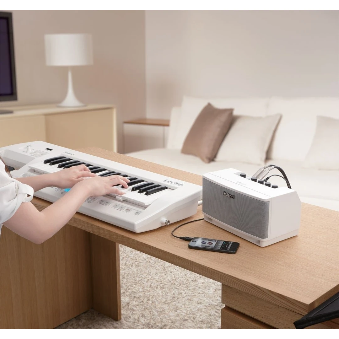 Комбоусилитель Roland Cube Lite Monitor