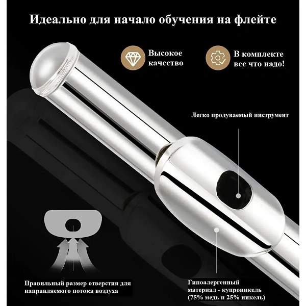 Флейта Eastar EFL-1 / EB015