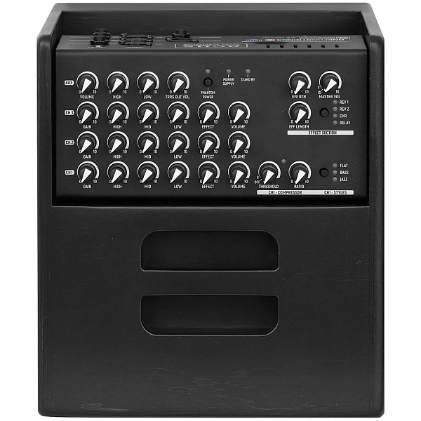 Комбоусилитель Acus One ForStrings 5 Ferdi Black