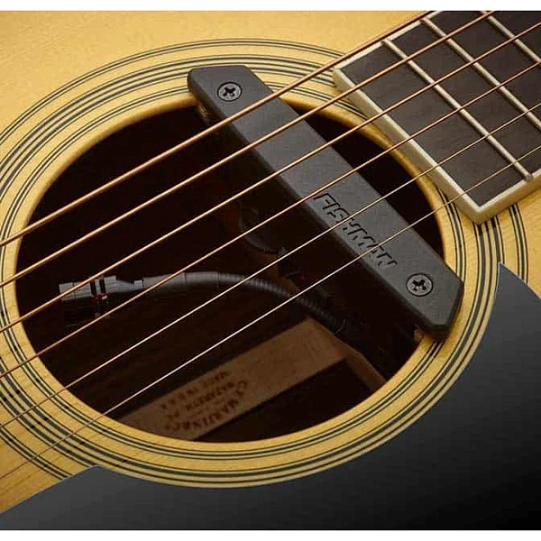Звукосниматель Fishman PRO-REP-103 Rare Earth Mic Blend