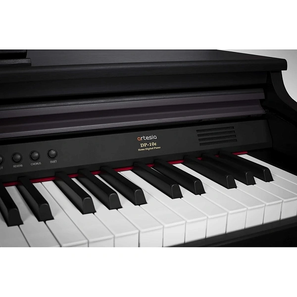 Цифровое пианино Artesia DP-10e Rosewood