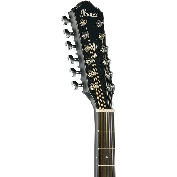 12-струнная электроакустическая гитара Ibanez AEG5012-BKH