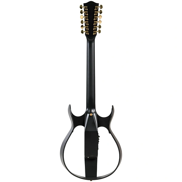 12-струнная электроакустическая гитара MIG Guitars SG2BL23 SG2
