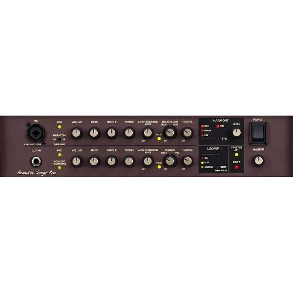 Комбоусилитель Boss ACS-Pro