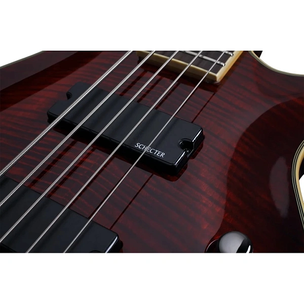 Бас-гитара Schecter Omen Extreme-5 BCH