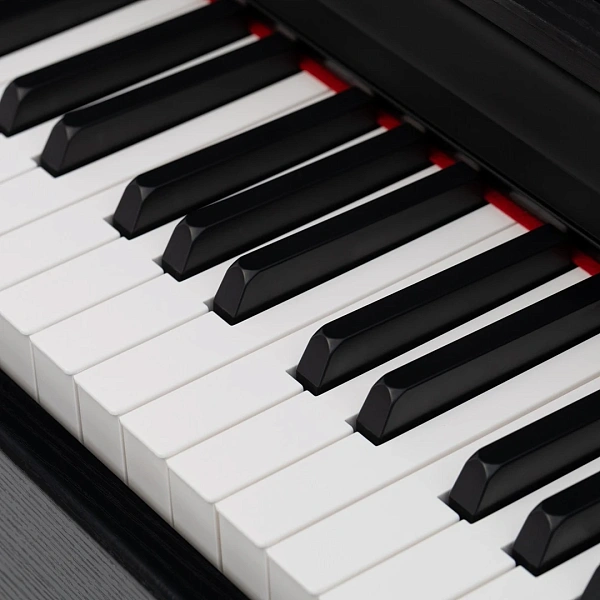 Цифровое пианино Rockdale Sonata Rosewood