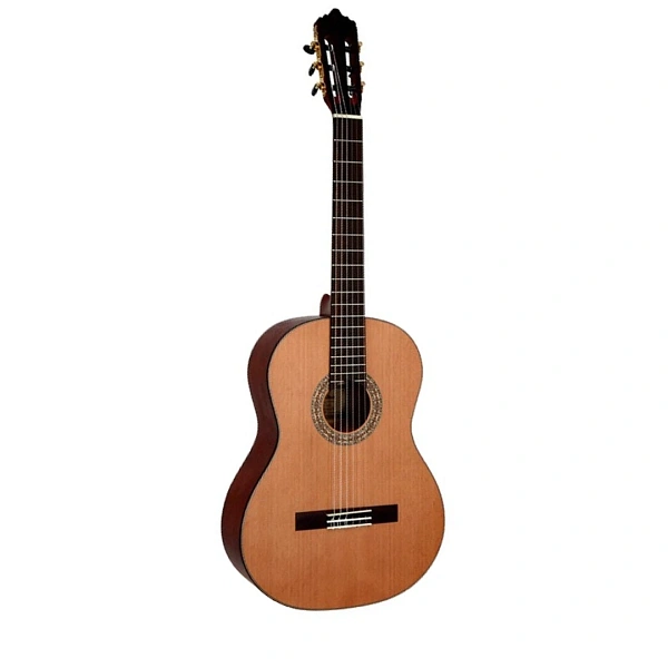 Классическая гитара Dowina CL555