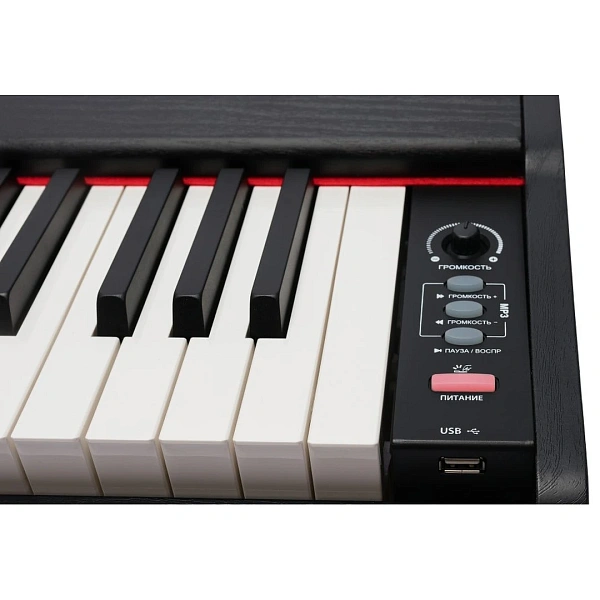 Цифровое пианино Rockdale Keys RDP-1088
