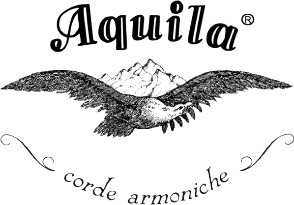 Aquila